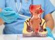 Perianal Abscess vs. Hemorrhoid